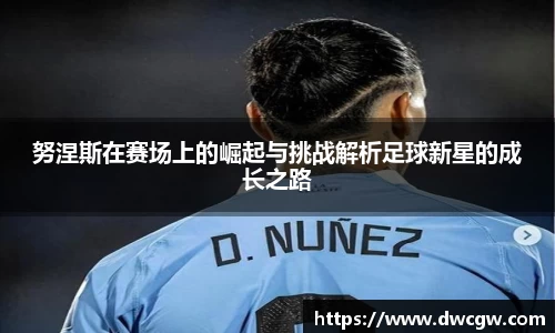 努涅斯在赛场上的崛起与挑战解析足球新星的成长之路