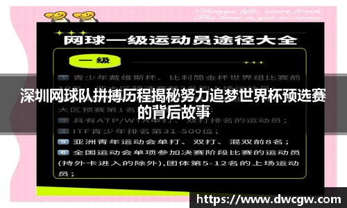 深圳网球队拼搏历程揭秘努力追梦世界杯预选赛的背后故事