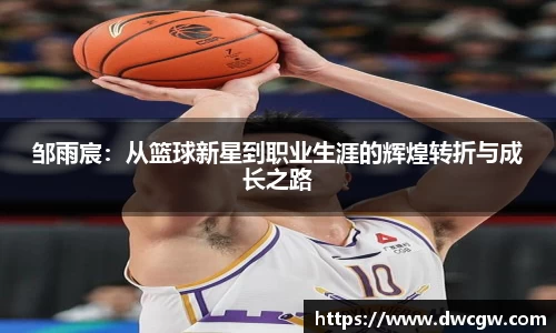 博鱼中国官方入口